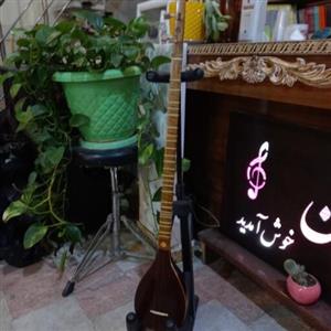 سه تار  ذوالقدر  تک مهر همرا ه با هاردکیس