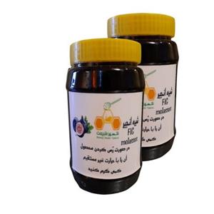 شیره توت محلی شهر طبیعت - 950 گرم بسته 2 عددی