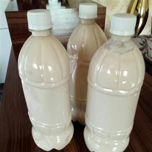 کشک گوسفندی مایع