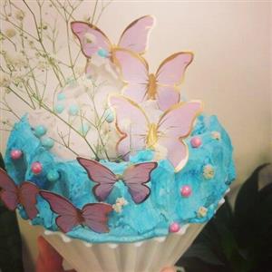 باگر کیک (ارسال به صورت پس کرایه)