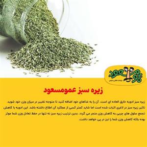 زیره سبز درجه یک عمومسعود بسته 100 گرمی