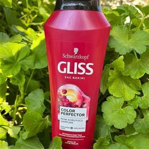 شامپو موی رنگ شده گلیس  با کیفیت عالی