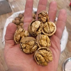 گردو درجه یک تویسرکان(1 کیلو گرم)