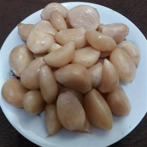 سیر ترشی دون شده 5ساله (نرم شده)ساله 750گرمی