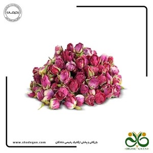 گل سرخ غنچه(25گرمی)