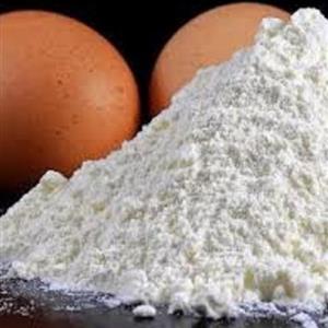 پودر سفیده تخم مرغ100 گرمی ،سفیده تخم مرغ