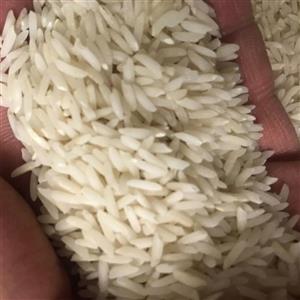 برنج هاشمی (فوق اعلاء) آستانه اشرفیه 10 کیلو