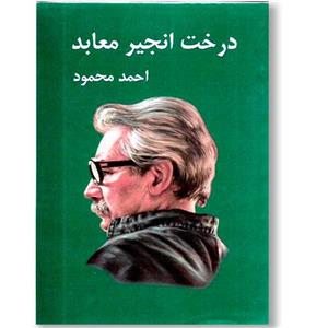 کتاب درخت انجیر معابد 2 جلدی  نوشته  احمد محمود