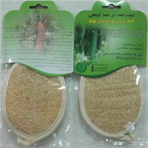 لیف لوفا بیضی دوطرفه