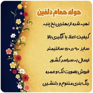 حوله حمام دلفین