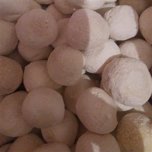 کشک تر گوسفندی