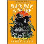 کتاب زبان اصلی Black Birds in the Sky اثر Brandy Colbert انتشارات Balzer  Bray