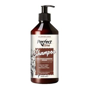 شامپو ترمیم کننده پرفکت لاین مدل ARGAN & KERATIN