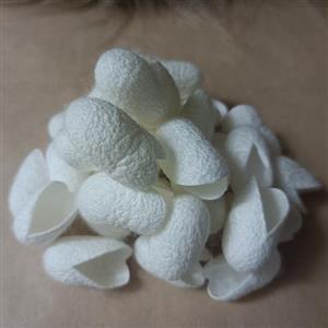 پیله ابریشم درجه یک برش خورده بسته 60عددی