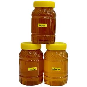 پک عسل‌های پرفروش ارسال رایگان (عسل گزانگبین، چهل گیاه، کوهستان) 