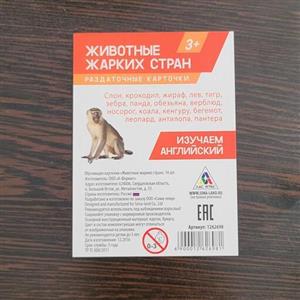 فلش کارت  زبان روسی حیوانات مناطق گرمسیری  16 عددی - روسی چاپی و نوشتاری و ترجمه انگلیسی