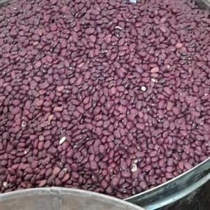 لوبیا قرمز مر غوب عالی