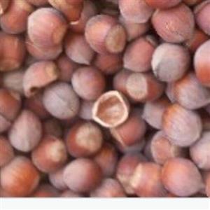 پوست فندق (خریداریم و فروشنده)