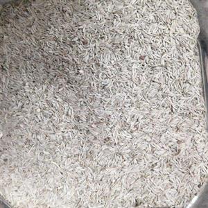 تخم کاهو یک کیلو