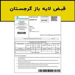 فایل لایه باز قبض گرجستان (Georgia Bill)