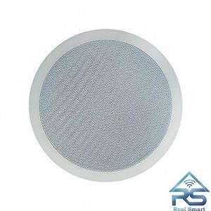 اسپیکر سقفی فریم-لس 25-وات