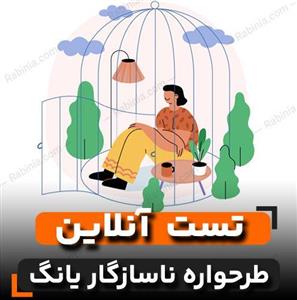 تست طرحواره های ناسازگار یانگ (YEMSQ)