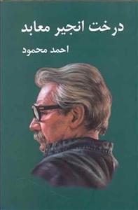 درخت انجیر معابد (2جلدی)(معین)