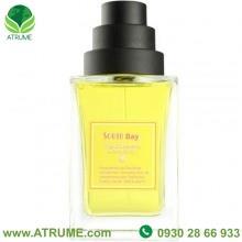 عطر ادوپرفیوم زنانه و مردانه دیفرنت کمپانی مدل South Bay حجم 100 میلی لیتر دیفرنت کمپانی سوت بی