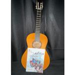 کتاب کاتوی cutway سی ملودی برای گیتار  مرتضی نیک نژاد