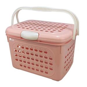 سبد پیک نیک سیب