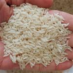 برنج طارم دم سیاه تولید شده در زمین های کوهستانی با عطر و طعم بی نظیر.رضایت مشتری اولویت کاری ماست
