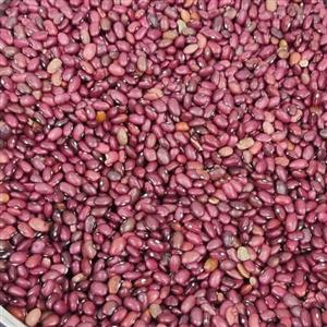 لوبیا قرمز  1 کیلویی