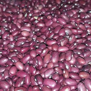 لوبیا قرمز  مخصوص قرمه سبزی پسندان تازه و پاک شده و با قیمت مناسب اماده ارسال
