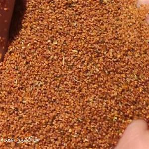 خاکشیر تمیز بدون خاک و چوب و تلخی نیم کیلویی همدان