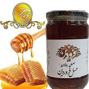 عسل تخصصی بانوان (تنظیم هورمون و تنبلی تخمدان) - راز طبیعت آرکا ارسال رایگان