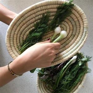 دیس حصیری مناسب سبزی
