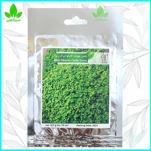 بذر چمن مونت کارلو ( چمن آکواریوم گیاه آبزی )07 گرمی رویش بذر (بذر گل تخم گل )