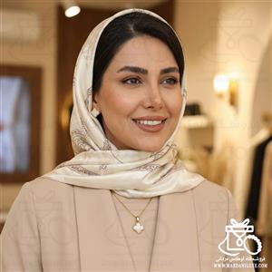 نیم ست استیل ونکلیف