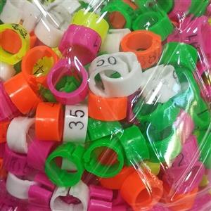 پلاک کبوتر کد 3 مدل شماره دار بسته 2 عددی