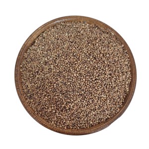 شاهدانه بوداده نمکی