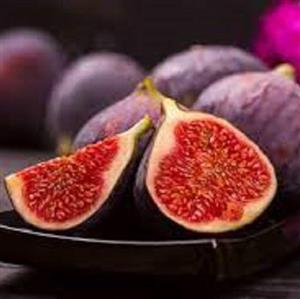 نهال انجیر سیاه مایل به قرمز
