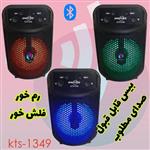 اسپیکر 1349 کیفیت صدای خوب رم و فلش خور بلوتوثی و اقتصادی