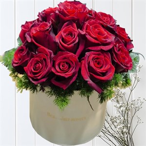 باکس گل رز قرمز 20 شاخه