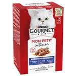 پوچ گربه گورمت مدل mon petit طعم ماهی سالمون (Gourmet MON PETIT intense)