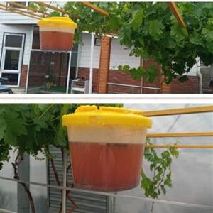 تله مگس با کارآمدی بالا برای محیط حیاط، بیرون منزل و دامداری باغ و ویلا