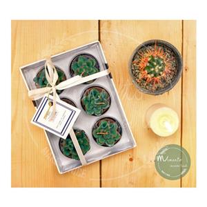 شمع وارمر کاکتوس(6عددی)