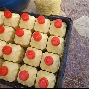 ماستینه (دوغ ترکی
