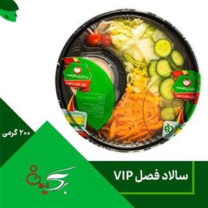 سالاد فصل بسته بندی شده 200گرمی ویژه برگ ایران