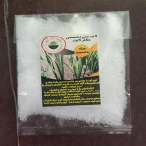 کود سانسوریا پودری 40گرمی