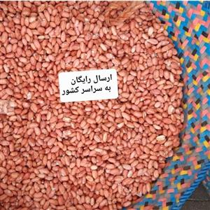 بادام زمینی بو داده شده آستانه اشرفیه درجه یک  و درشت  محصول 1402 (2000 گرمی)